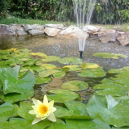 With Parking Space Basanija, Umag - 7149 Appartement