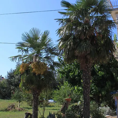 With Parking Space Basanija, Umag - 7149