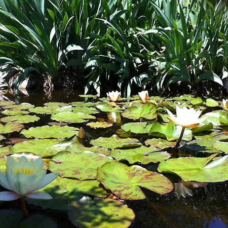 With Parking Space Basanija, Umag - 7149 *