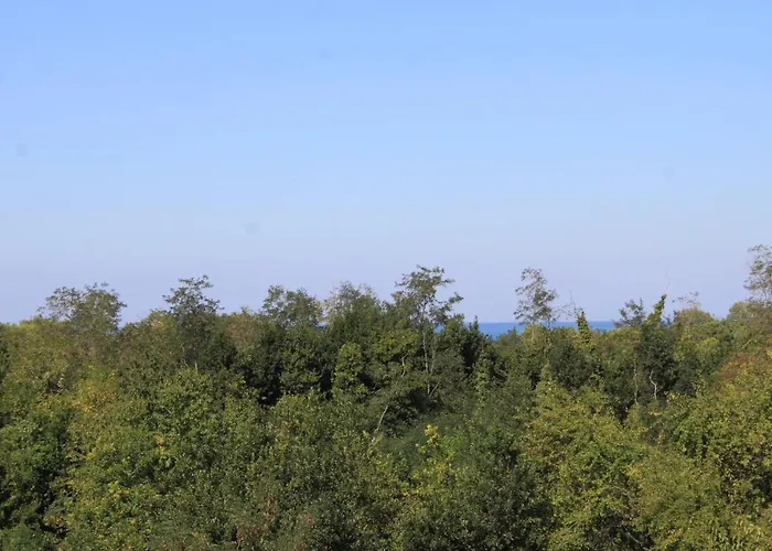 With Parking Space Basanija, Umag - 7149