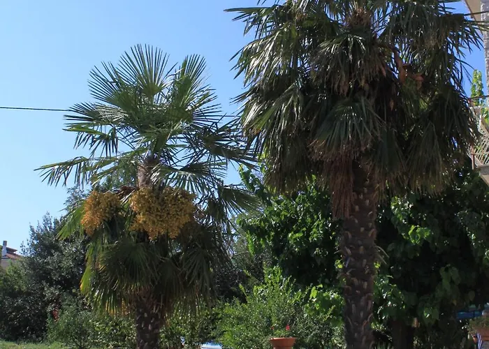 With Parking Space Basanija, Umag - 7149