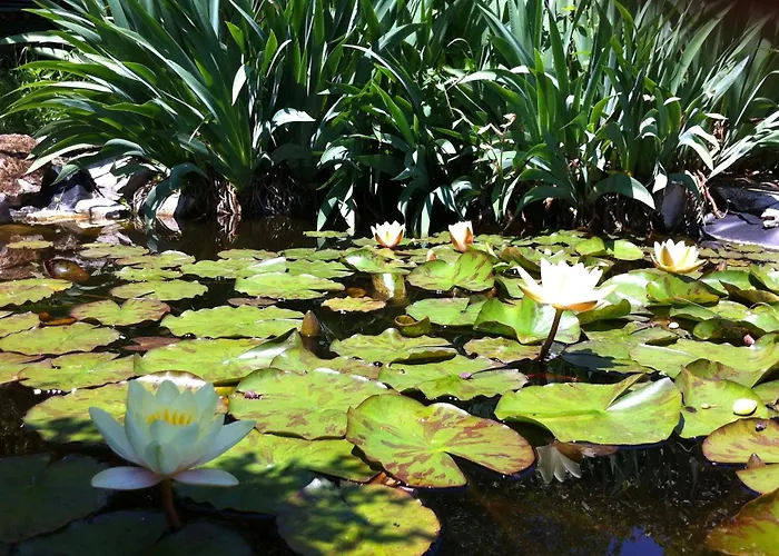 With Parking Space Basanija, Umag - 7149 *